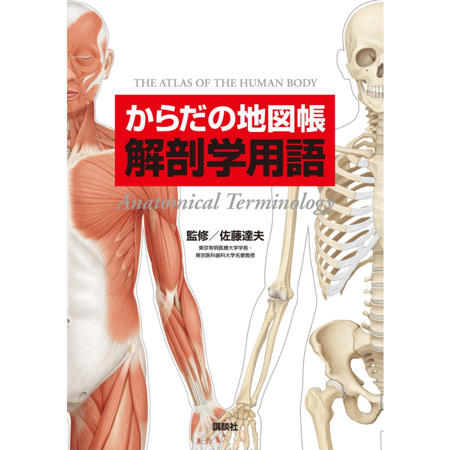 からだの地図帳 解剖学用語