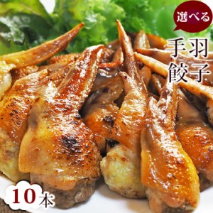  手羽餃子 お試し 10本セット（5本入×2袋）手羽先餃子 肉餃子 バーベキュー BBQ bbq 焼き鳥 焼鳥 やきとり