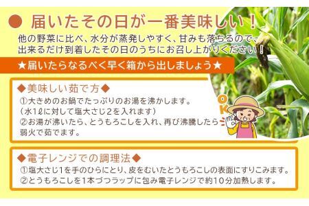 2024年分予約開始！こだわり農家の 喜茂別産スイートコーン