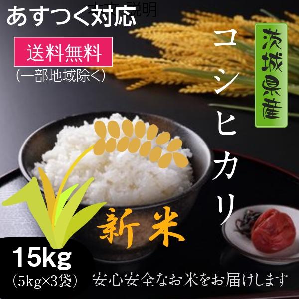 新米 米 お米 15kg コシヒカリ 茨城県 白米 5年産 送料無料 一部地域除く