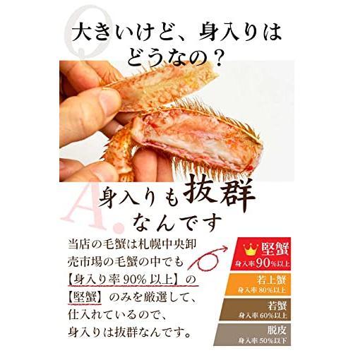 丸市岡田商店 北海道産 特大 毛蟹 札幌中央卸売市場 毛ガニ 毛がに かに (800ｇ×2尾) お歳暮 御歳暮