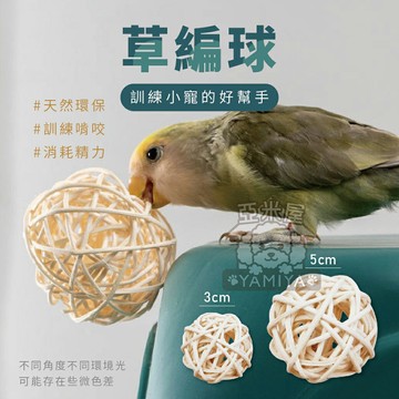 草編球 鸚鵡玩具 倉鼠玩具 小寵玩具 啃咬玩具 天然磨牙玩具 原色藤球 拍攝道具 鳥類玩具 玩具【亞米屋Yamiya】