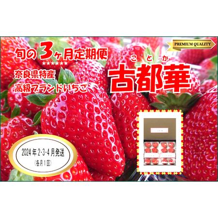 ふるさと納税 数量限定いちご 先行予約いちご 定期便いちご 2・3・4月発送 奈良県特産 高級ブランドいちご「古都華」旬の３ヶ月定期便    いちご.. 奈良県広陵町
