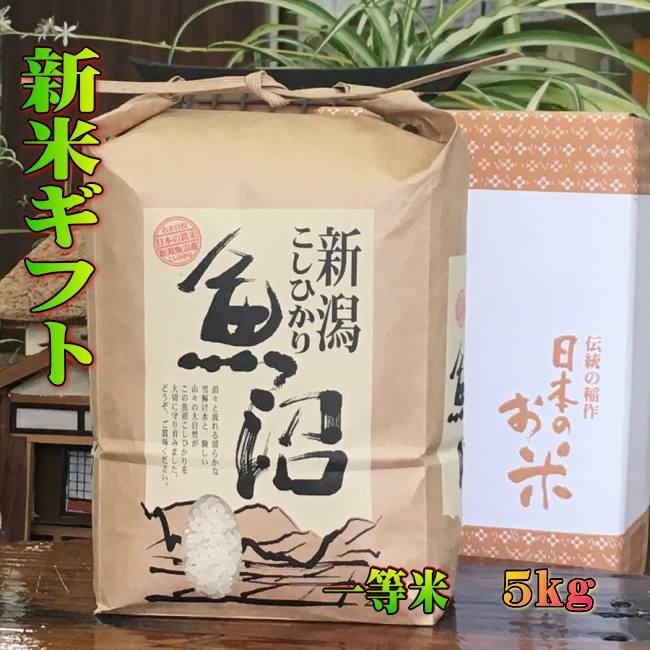 新米 5kg 令和5年 米 魚沼産 従来 コシヒカリ 送料込 2023年 特A 一等米 新米予約