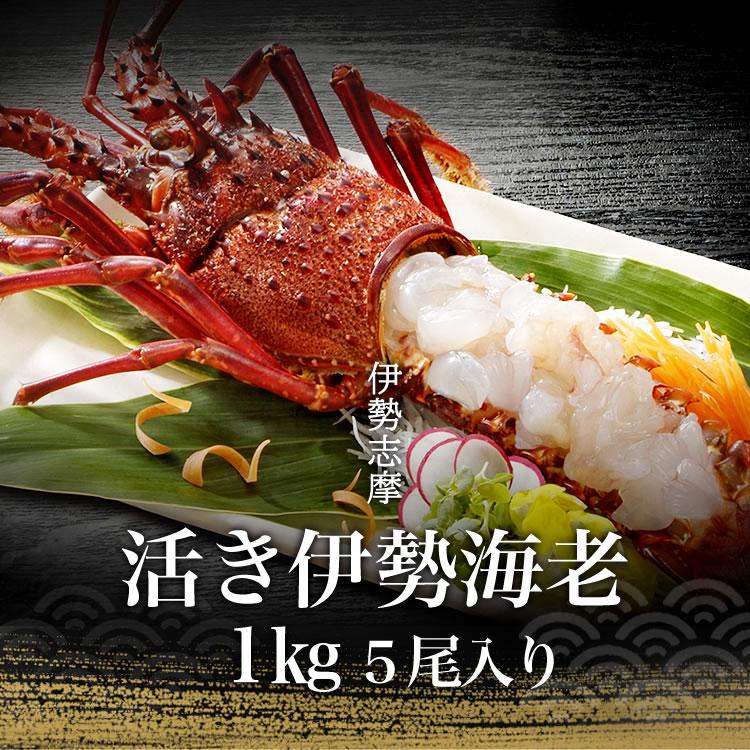 伊勢海老 三重県 伊勢志摩産 《約1kg 5尾（1尾約200g）》 活き 伊勢エビ 刺身 産地直送 天然 伊勢えび 三重県産 伊勢志摩直送 お中元 お歳暮 ギフト 送料無料