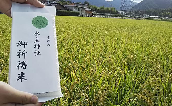 エコファーマー認定農家の地域ブランド米(水主米)令和5年新米(無洗米10kg×3ヶ月連続お届け)