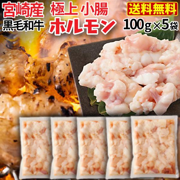 ホルモン 牛 博多 和牛小腸 九州産黒毛和牛 500g(100g x5袋) コプチャン モツ鍋 焼肉 炭火焼き クール