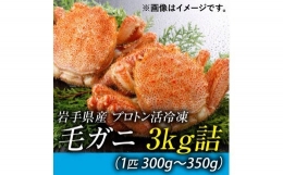 活毛ガニのプロトン凍結3kg 