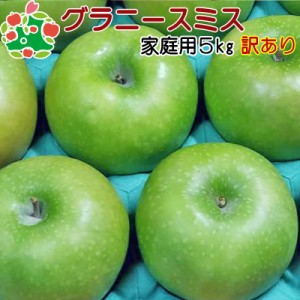 りんご 訳あり 青森県産 グラニースミス 家庭用 キズあり 5kg 送料無料 産地直送 産直自宅用 ワケあり お試し 試食 食べ物 旬の くだもの