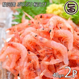 駿河湾産 ぷりぷり 桜えび 冷凍（生）50g×2袋 おいしい産業 静岡県 桜エビ おすすめ 産地直送