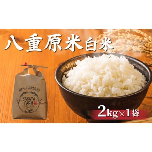 ふるさと納税 長野県 東御市 八重原米2kg（2kg×1袋）白米