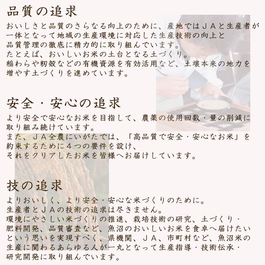 米 お米 魚沼 10kg コシヒカリ 新潟県産 5kg×2 令和5年産 白米