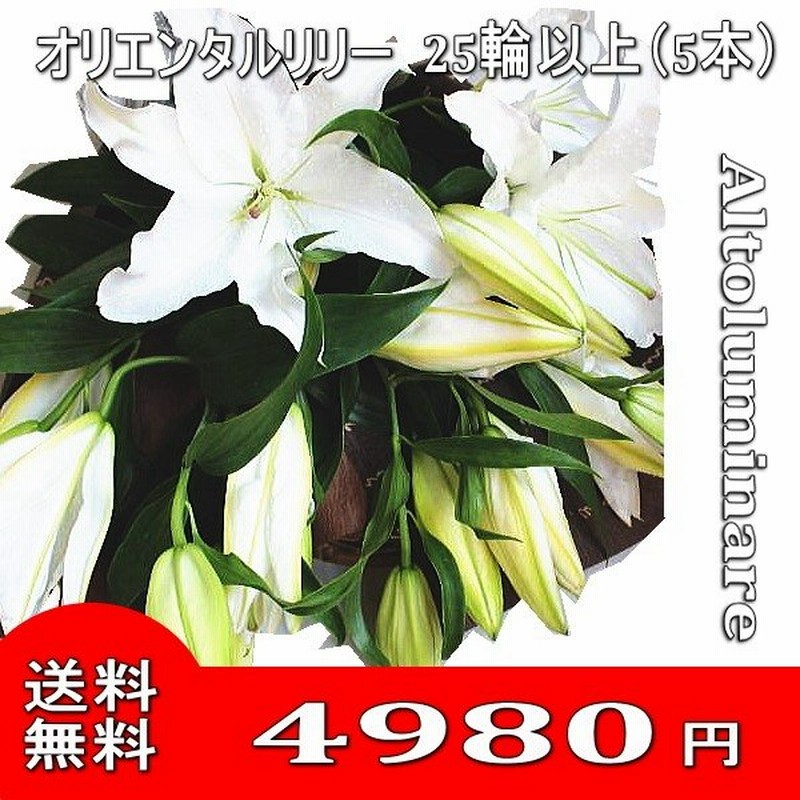 白系ユリの花束 オリエンタルリリー お誕生日 入学祝い 出産祝い ゆり 百合 お供え に 通販 Lineポイント最大get Lineショッピング