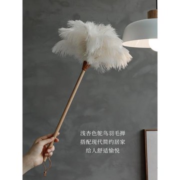 藝之初無靜電原創家用神器鴕鳥毛