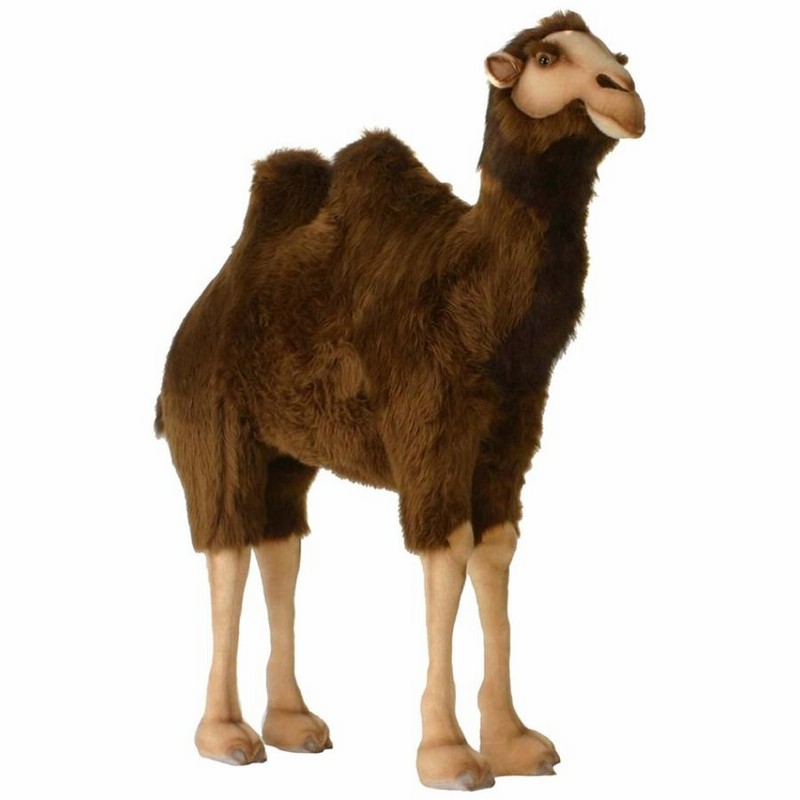 ハンサ ラクダ 【公式通販】