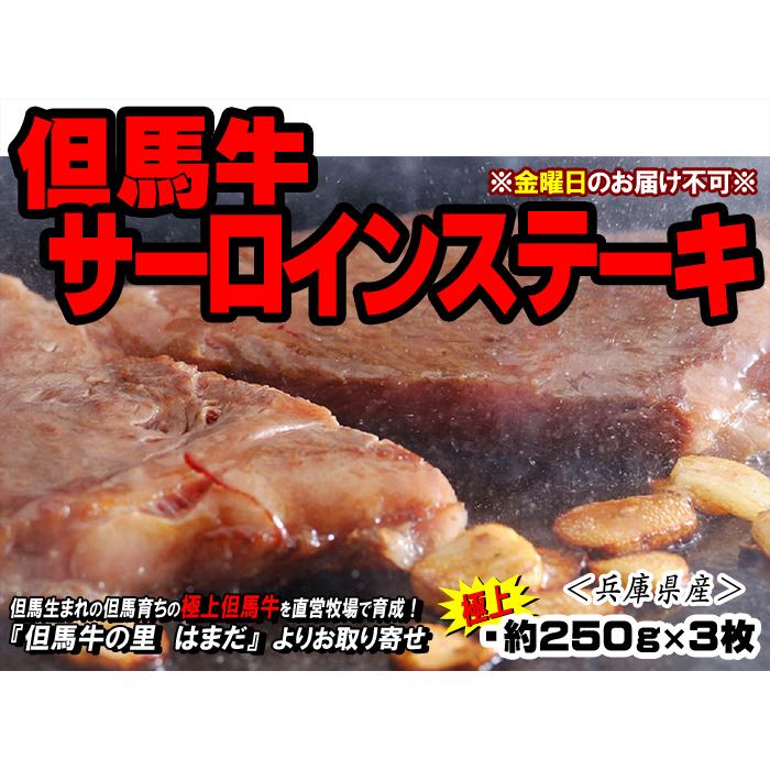 但馬牛 サーロインステーキ  約250g×3枚 （極上）＜兵庫県産＞