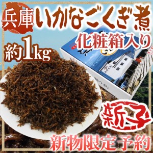 2023年新物！兵庫産 ”いかなご釘煮” 新子 約1kg 化粧箱入り 送料無料