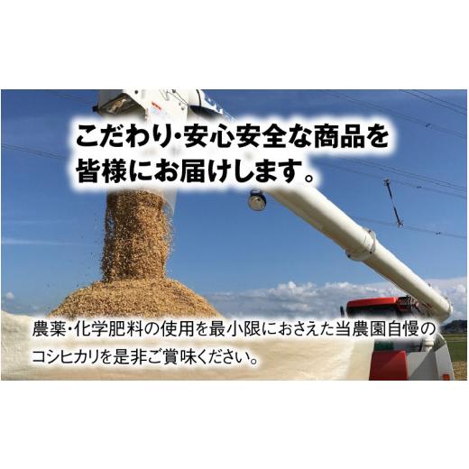 ふるさと納税 福井県 坂井市 本原農園のまごころコメたコシヒカリ 5kg × 5回 計25kg（玄米）[C-8901_02]