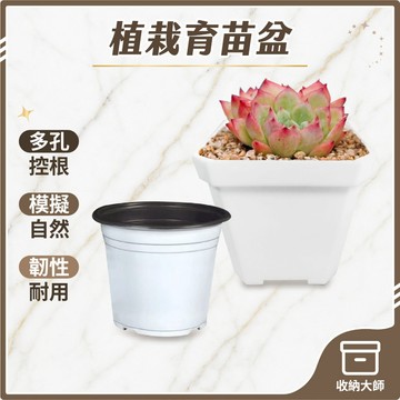 台灣現貨 植栽 小方盆 育苗盆 四方盆 盆器 透氣盆 方盆 栽培盆 花盆 多肉盆栽 多肉盒 仙人掌花盆 透氣盆 收納大師