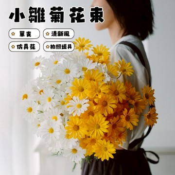 ⁺₊⋆生活大獅⋆₊⁺🌙 現貨 仿真花 小雛菊仿真花 乾燥花束 迷你菊 小雛菊 乾燥花材  永生花 乾燥花 不凋花 裝飾花