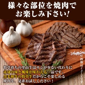 牧草育ちの里山牛 焼肉セット 計900g b8-017