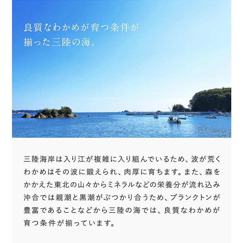 わかめ 三陸産 無添加 大判 シャキこりッ食感 乾燥ワカメ 国産カットわかめ90g 海藻 味噌汁 みそ汁 ラーメン うどん そば スープ メール便  ネコポスで送料無料