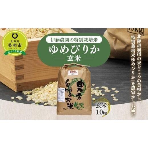 ふるさと納税 北海道 美唄市 玄米（10kg）伊藤農園の特別栽培米ゆめぴりか 