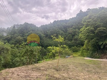 竹東五指山景觀美地C~三塊可選｜新竹縣竹東鎮上坪