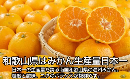 南国和歌山の完熟みかん5kg《先行予約》