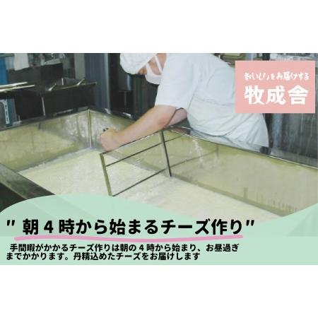 ふるさと納税 ＜牧成舎＞飛騨の牛乳屋、こだわり3種のチーズ＆モッツァレラ入りソーセージ b608  岐阜県高山市