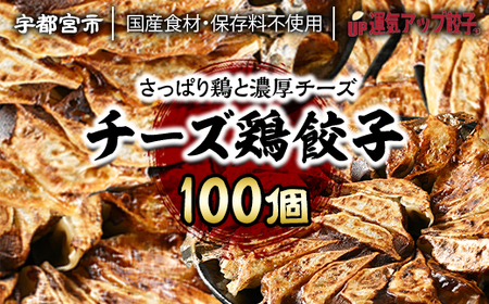 宇都宮餃子　チーズ鶏餃子100個　保存料不使用