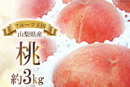 山梨県産 桃 約 3kg [農業法人えべし 山梨県 中央市 21470559] 産地直送 フルーツ 果物