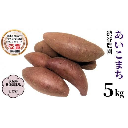 ふるさと納税 茨城県 桜川市 あいこまち 約5kg   渋谷農園 さつまいも  いも 芋 焼芋 [DT013sa]