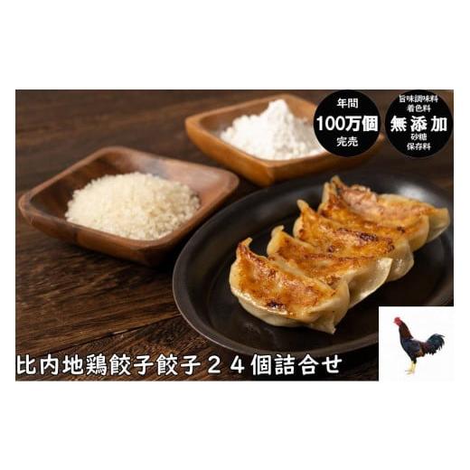 ふるさと納税 秋田県 秋田市 年間100万個完売！餃子の餃天