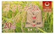 令和5年産 千葉県産「ふさこがね」玄米20kg（20kg×1袋） お米 20kg 千葉県産 大網白里市 ふさこがね 米 玄米 こめ 送料無料