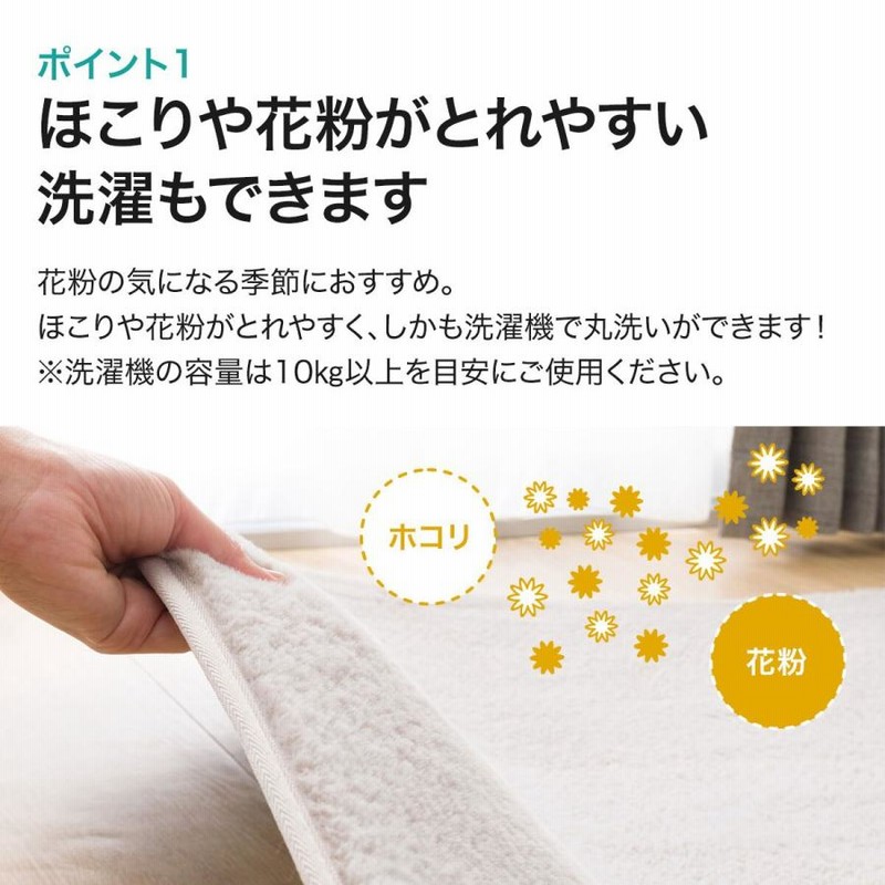 ほこりがとれやすい洗えるラグ(ファーラグ 200X240 MO RM01