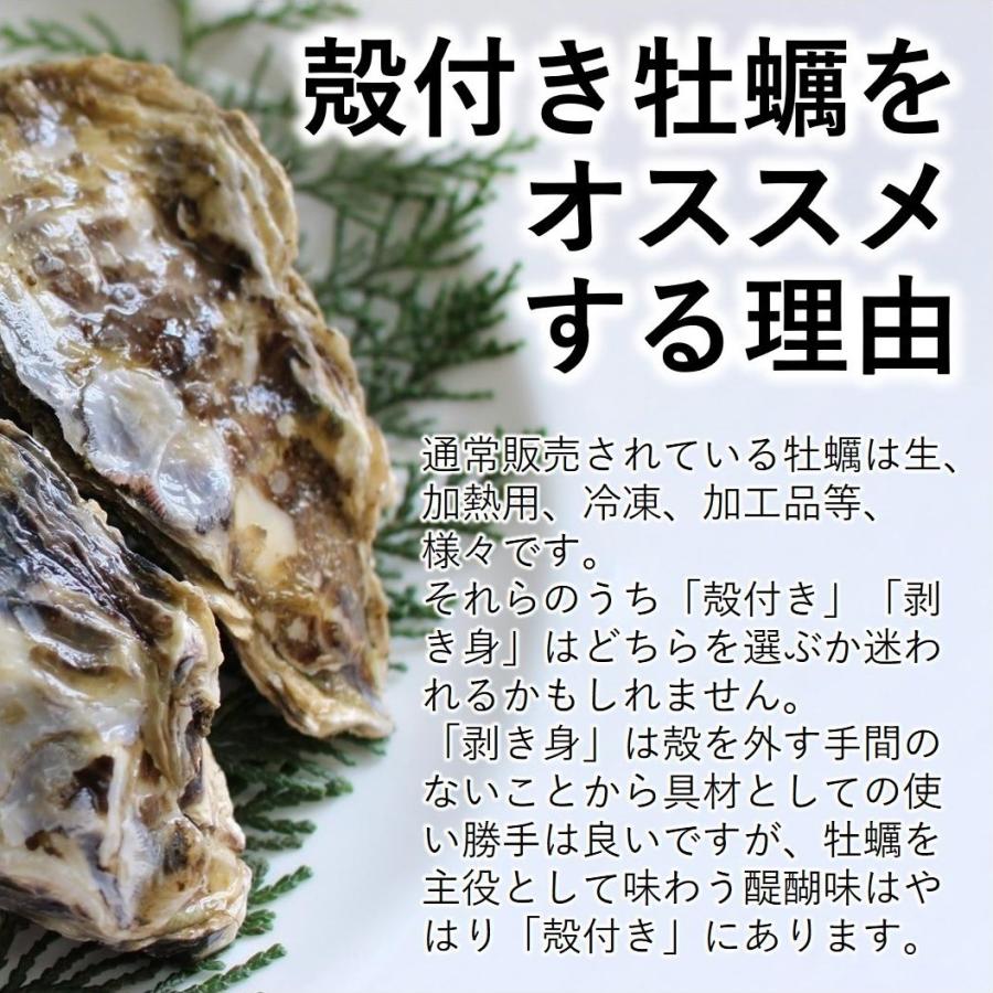 生食 OK カキ みちのく三陸産 殻付き生牡蠣 5kg 今季初出し 希少 ワケあり 亜鉛の摂取源No.1 新鮮 石巻 宮城 産地直送 ミネラル アミノ酸 タウリン セール 海鮮