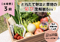 ★個数限定★とれたて野菜と果物の彩り定期便Box 13品目から18品目の豪華セット（収穫体験付き）