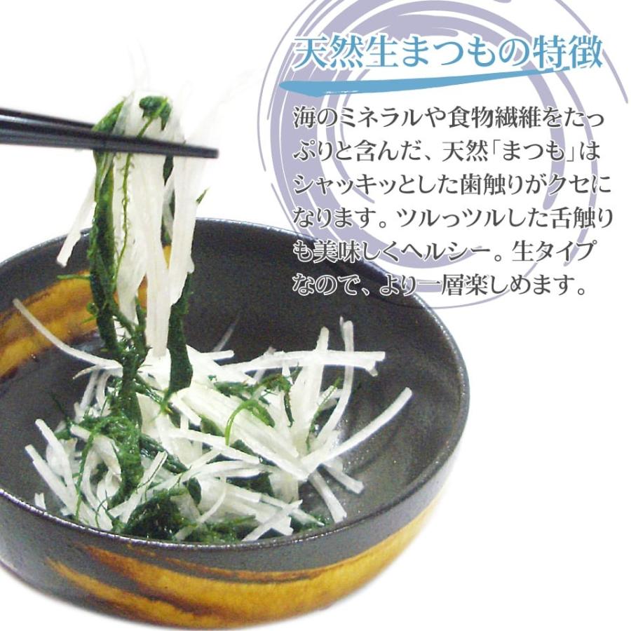 海藻 生まつも 150g 生冷凍 天然函館産 シャッキッ歯触り 採れたてそのまま