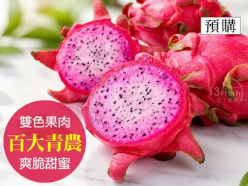 雙色鮮採火龍果