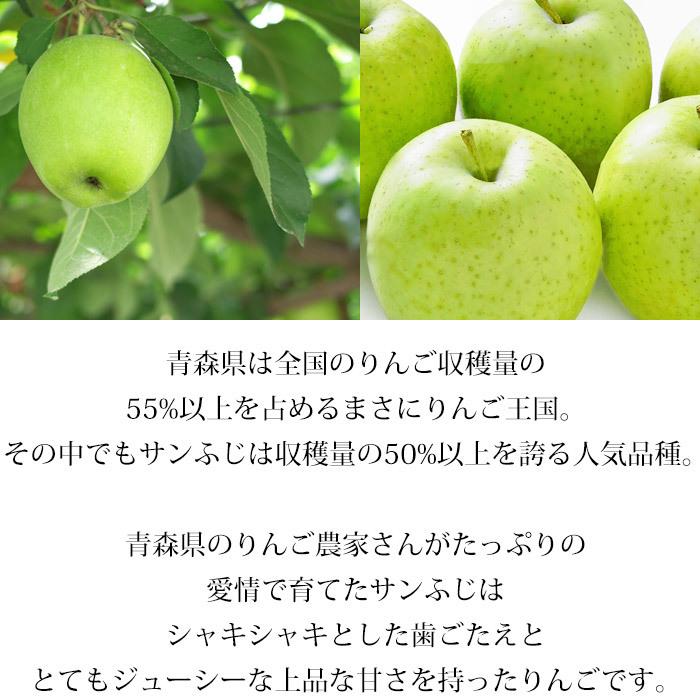 りんご 青森県産 王林 訳あり 約5kg 16〜24玉