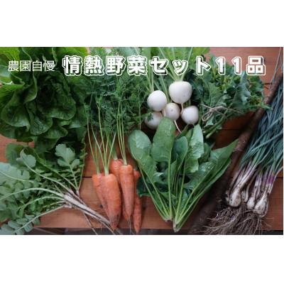 ふるさと納税 下妻市 農園自慢の情熱野菜セット11品(種類おまかせ)