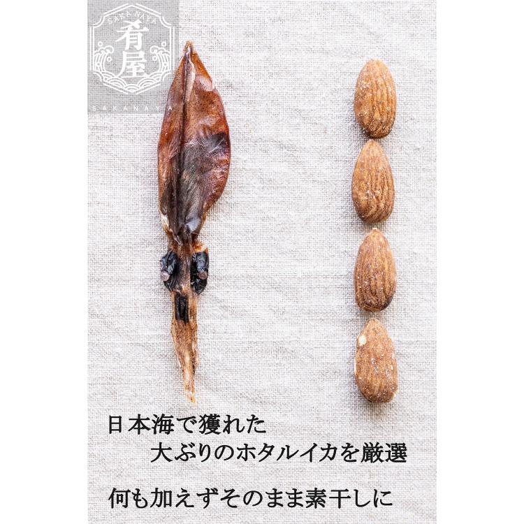 ほたるいか 素干し 100g(50ｇ×2袋) 肝入り 無添加 日本海産 国産 業務用 寒風仕上げ 姿干素干し おつまみ ホタルイカ 干物 珍味 ホタルイカの素干し