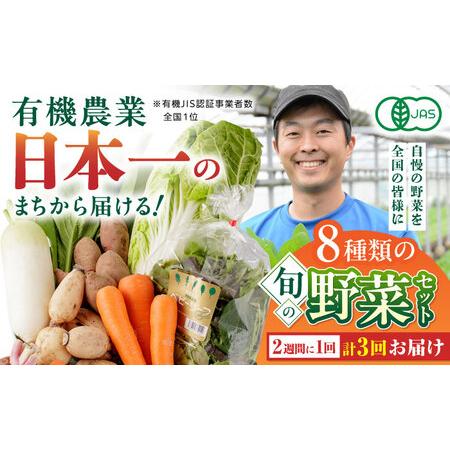 ふるさと納税 有機野菜 8種セット 詰め合わせ 野菜詰め合わせ 熊本県産有機野菜 山都町産有機野菜 産地直送 高原野菜 新鮮有.. 熊本県山都町