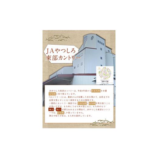 ふるさと納税 熊本県 氷川町 蓮華の花園(もち米) 5kg 精米 JAやつしろカントリー利用組合 熊本県 氷川町《30日以内に順次出荷(土日祝除く)》