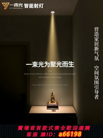 【台灣公司 可開發票】一束光智能射燈超薄嵌入式射燈小角度調光茶室氣氛客廳入口天花板