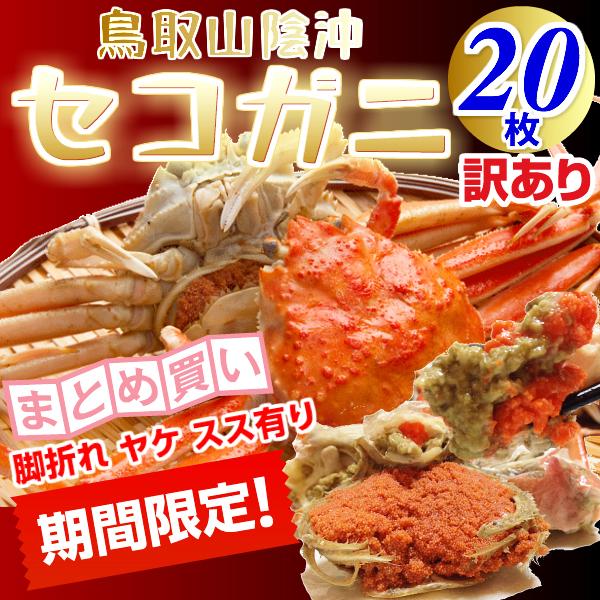 セコガニ せこがに ２０枚セット 山陰沖産 親がに 業務用（訳有り）セイコガニ 香箱かに 蟹  訳あり 送料無料