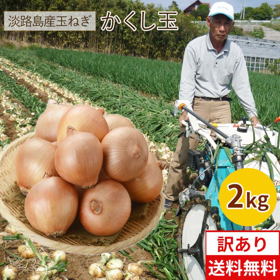 玉ねぎ 2kg 訳あり 淡路島 Sサイズ〜2Lサイズお任せ 減農薬 有機肥料栽培 かくし玉 今井ファ−ム たまねぎ タマネギ 玉葱 ＃(訳)かくし玉2kg＃