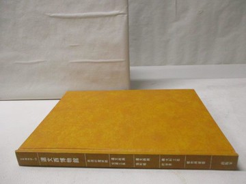 【書寶二手書T9／藝術_JP6】世界博物館15達文西博物館_附殼