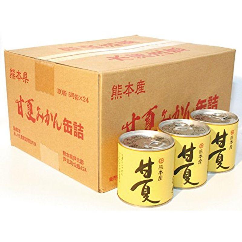 ＪＡあしきた 甘夏缶詰 (24個入り（ダンボール）)